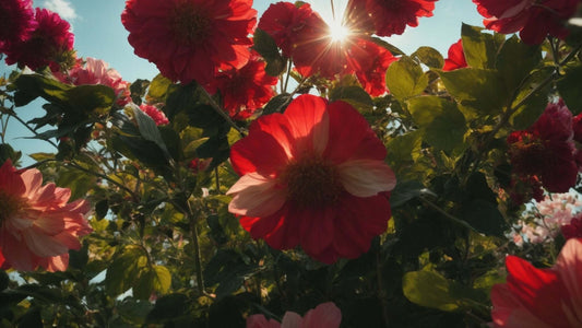 Vibrant garden of red and pink flowers under sunlight highlighting the beauty of nature
